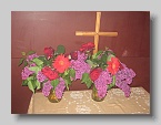 IMG_4661 (Medium)